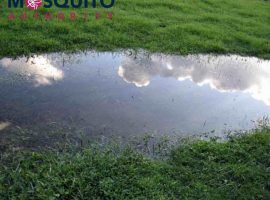 One of the best ways to get rid of mosquitoes is to eliminate standing water