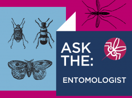 Ask the Entomologist Preventing Ticks